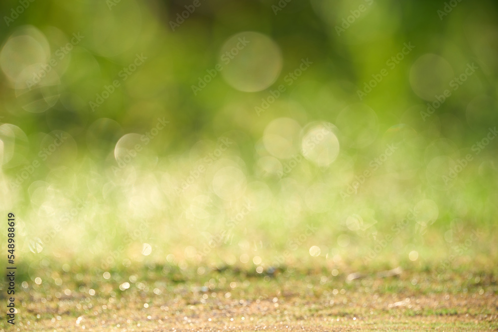 Obraz premium bokeh background of tree leaves