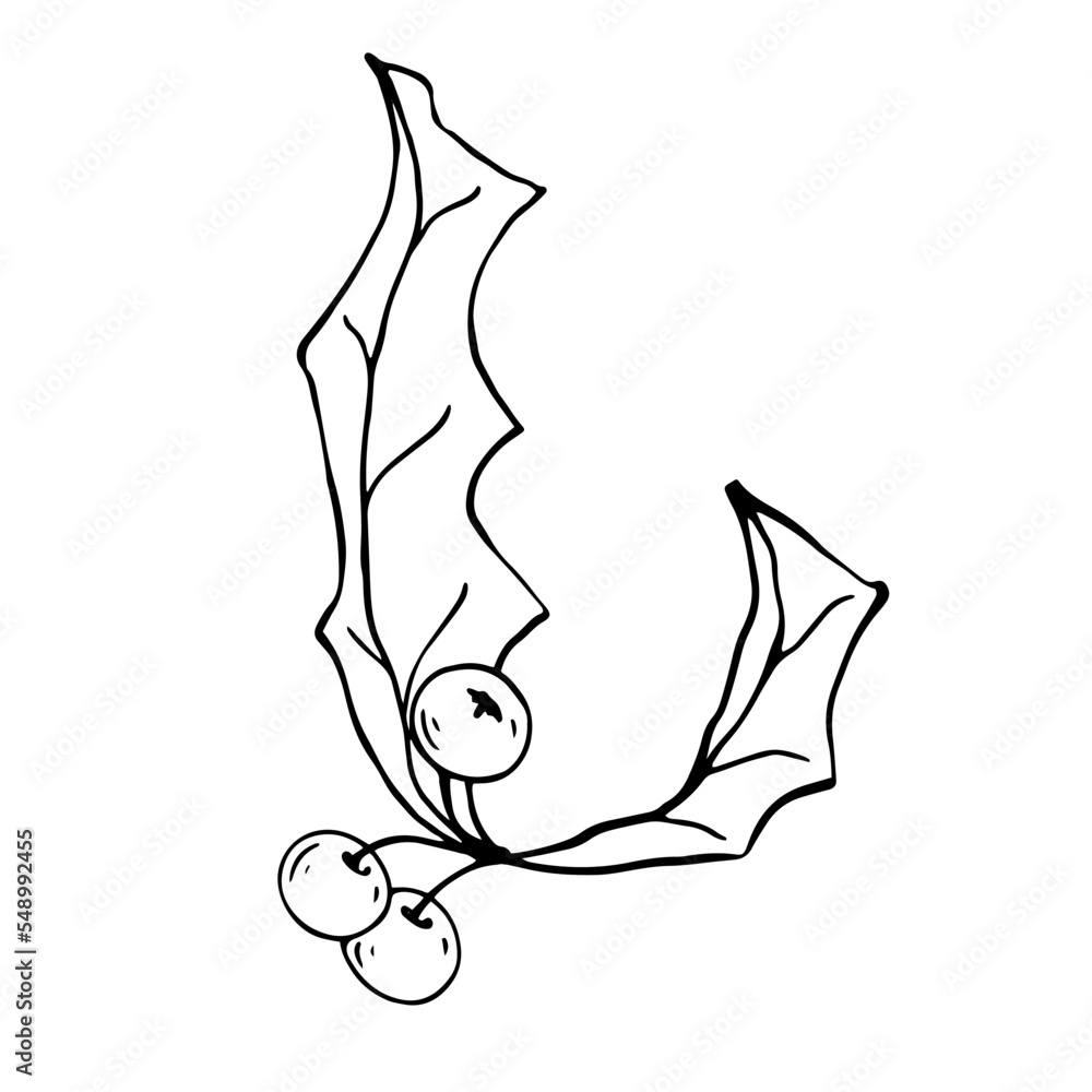 Obraz premium Botanical sketch of holi branches with berries and leaves.Traditional decoration for New Year and Christmas holidays.Vector graphic.