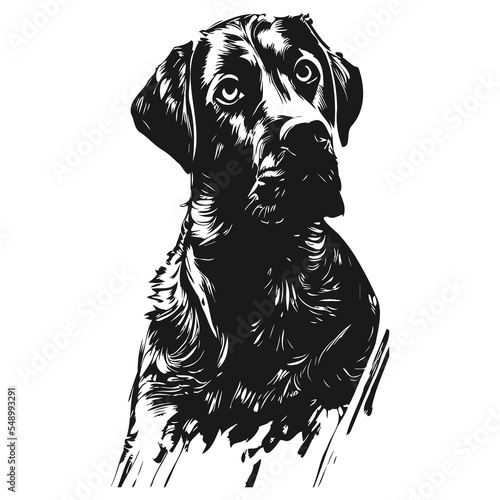 lab dog vector hand drawn vector black and white