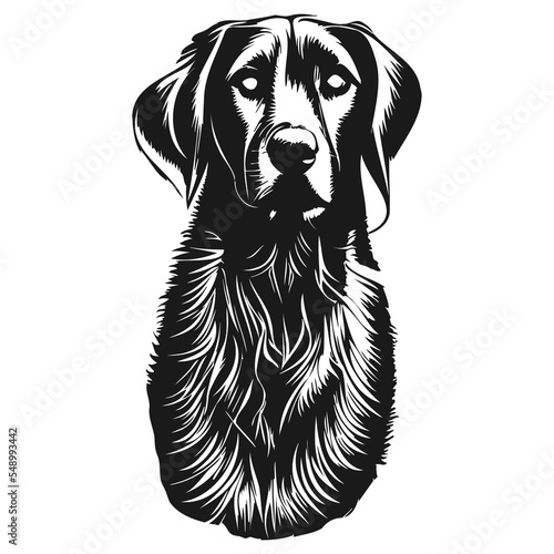 labrador retriever clip art hand drawn vector black and white