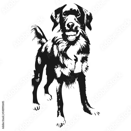 logo golden retriever hand drawn vector
