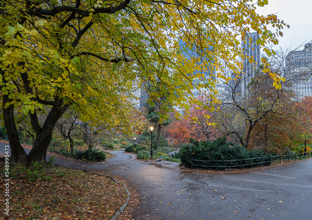 Naklejka premium Autumn in Central Park raining morning