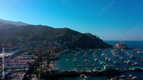 The Avalon California with boats and palm trees on Catalina Island in The United States photo