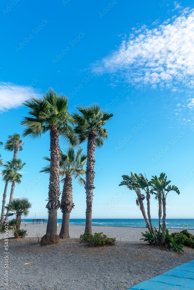 Costa Tropical beach in Almuñecar in the province of Granada, Andalusia, Spain. Europe. September 29, 2022
Costa Tropical beach in Almuñecar in the province of Granada, Andalusia, Spain. Europe. September 29, 2022