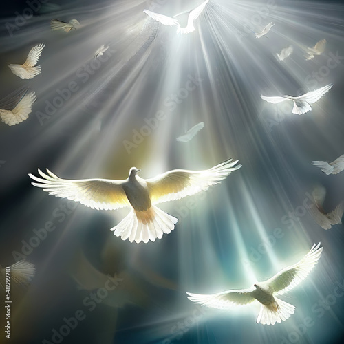 flying dove in rays of light