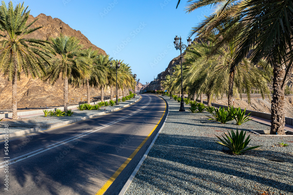 Road with palm trees. Traditional Omani architecture. Old Town of Muscat, Oman. Arabian Peninsula. 