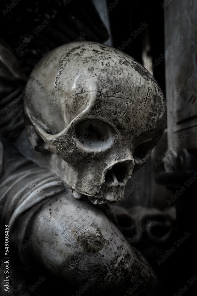 skull and bones skull and bones