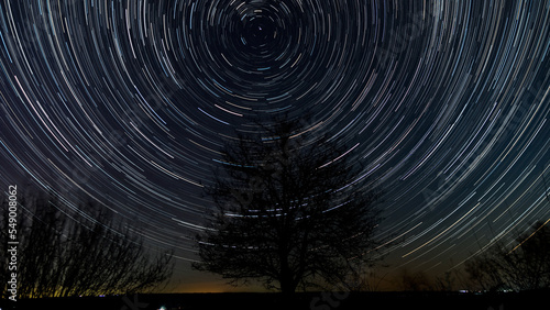 Star trails in the night sky above the silhouette of a tree