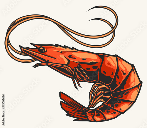 Ocean shrimp detailed colorful logotype