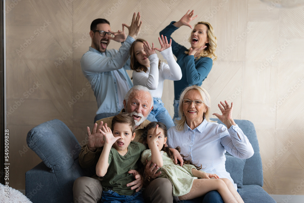 Crazy family portraits in living room