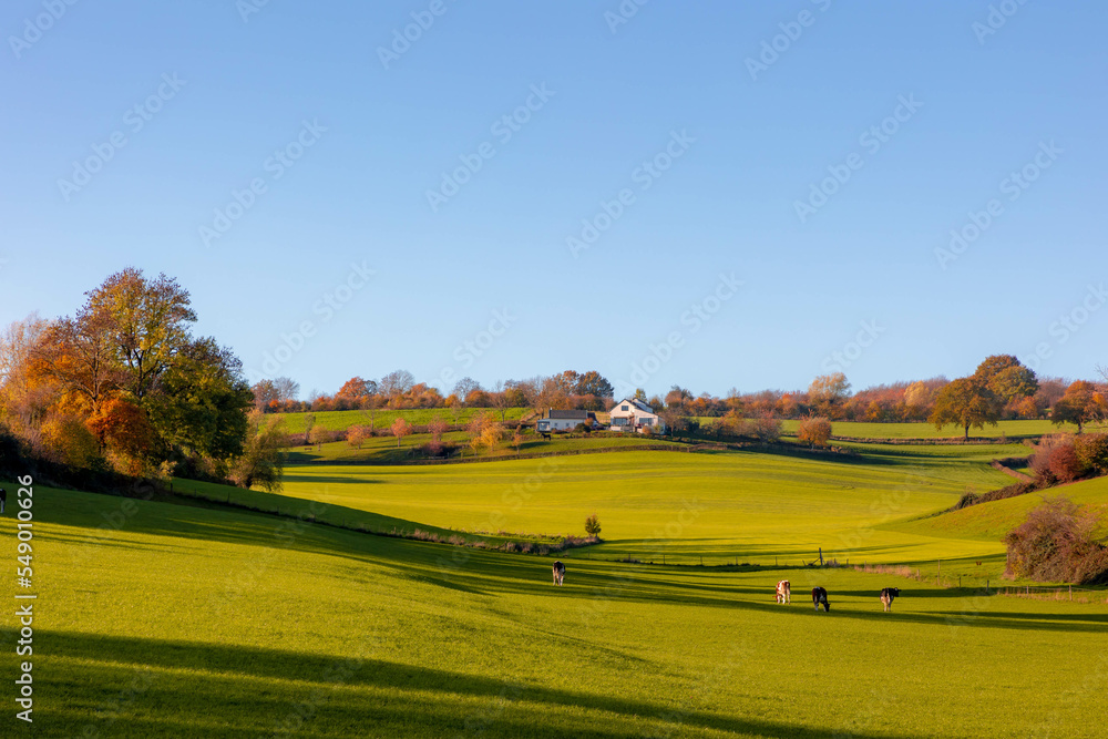 Fototapeta premium Colorful Autumn landscape of hilly countryside in Zuid-Limburg, Small houses on hillside with sunlight in the morning, Epen is a village in southern part of the Dutch province of Limburg, Netherlands.