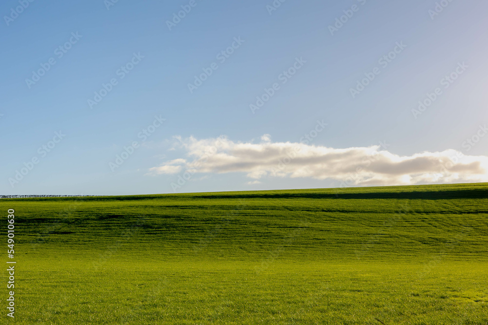 Obraz premium Landscape view of green grass field on slope hill under blue sky and white fluffy clouds, Green meadow on hilly side with warm sunlight in the morning, Nature background, Free copy space for your text