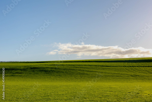 Landscape view of green grass field on slope hill under blue sky and white fluffy clouds, Green meadow on hilly side with warm sunlight in the morning, Nature background, Free copy space for your text