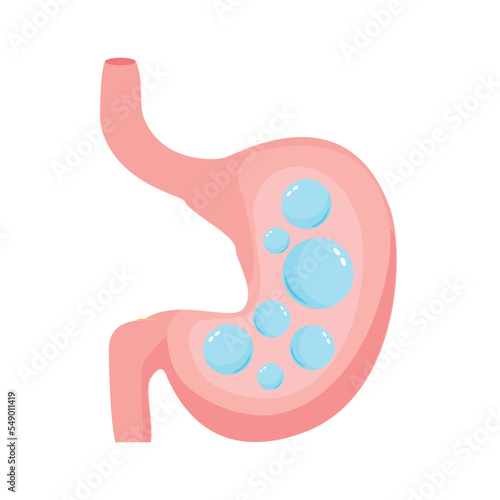 Belching gas human stomach. Internal organ, anatomy