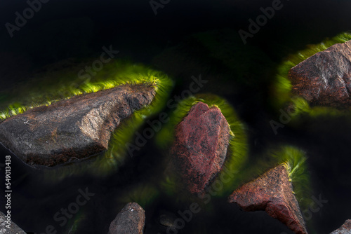 Felsen im Wasser mit abstrakten Algen. Felsen mit unwirklichem grünem Rand. Fremd wirkende Formation. Rocks in the water with abstract seaweed. Rocks with unreal green edge. Alien formation. 