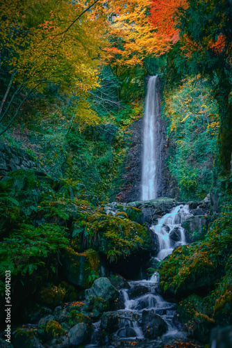 waterfall in autumn