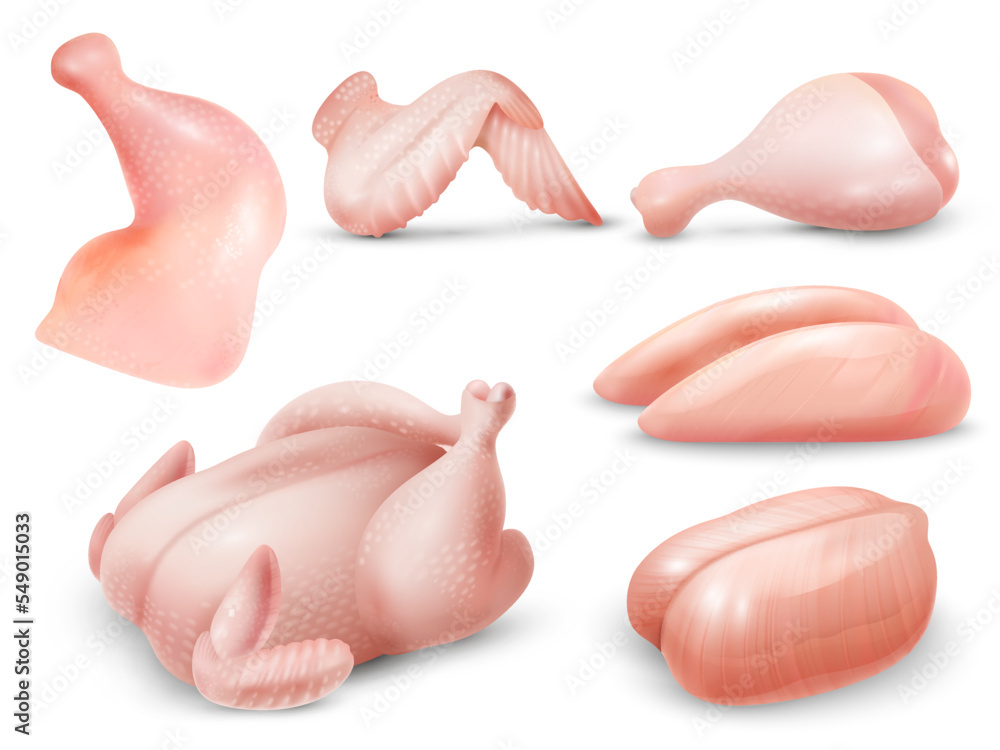Realistic Chicken Set Realistic Chicken Set