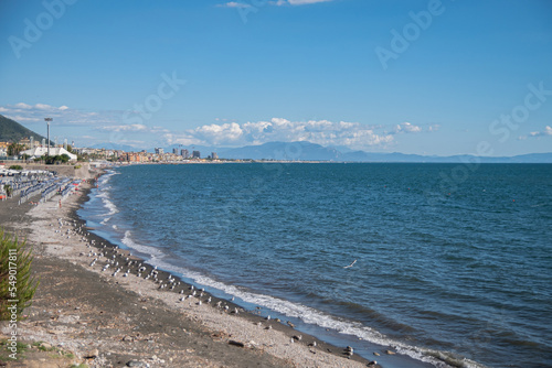 Group of seagulls (flock) rests on the seashore. The calm, cozy summer sea © Alona Dudaieva