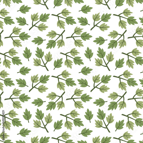 Coriander pattern wallpaper. coriander doodle symbol.