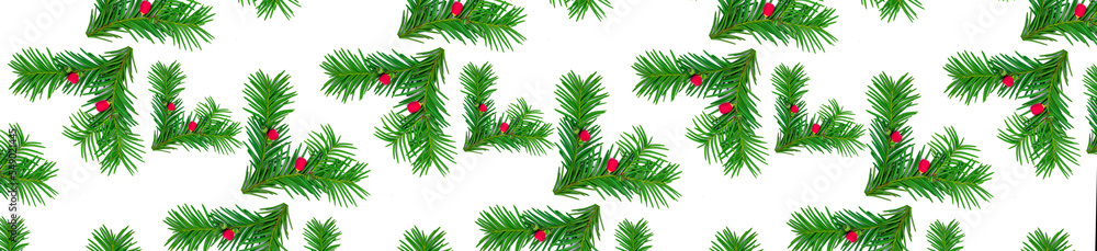 Panorama pattern of green yew branches with red berries on a white background.
