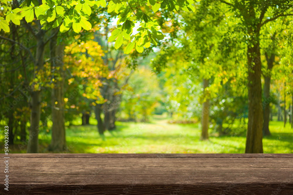 wooden table with forest bokeh background wooden table with forest bokeh background