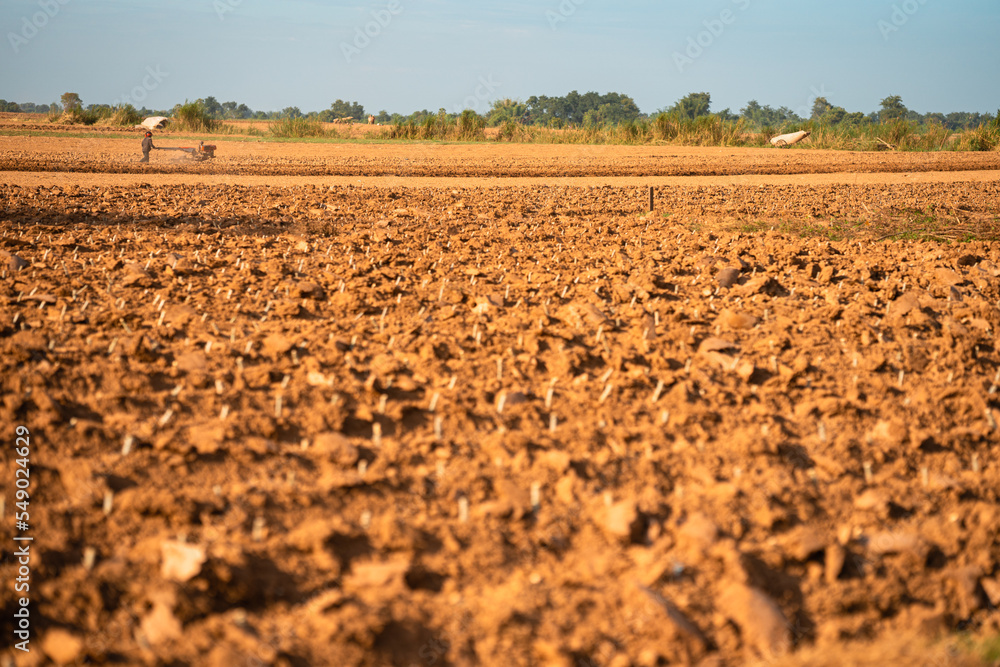 Farmer Seeding Field With Plough, Cambodia Farmer Seeding Field With Plough, Cambodia