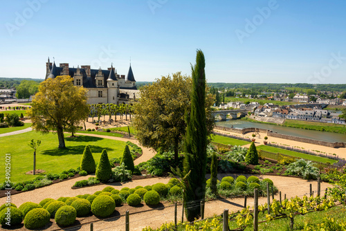  Amboise  Jardin Paysager du Logis Royal de Style Renaissance . Indre-et-Loire . centre Val de Loire. France