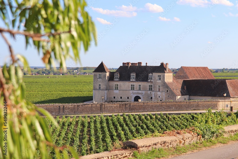 Château et vignes