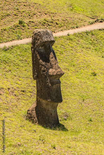 Moai statues in the Rano Raraku Volcano in Easter Island, Rapa Nui National Park, Chile photo