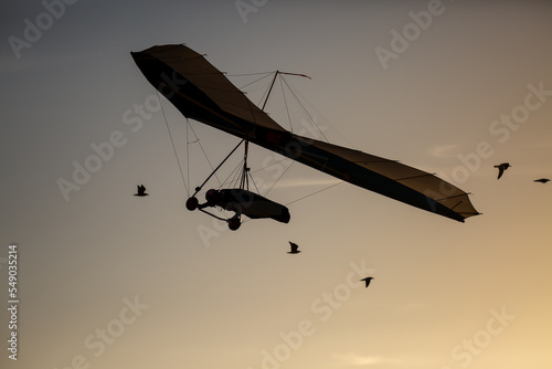 Hang glider flying amidst birds