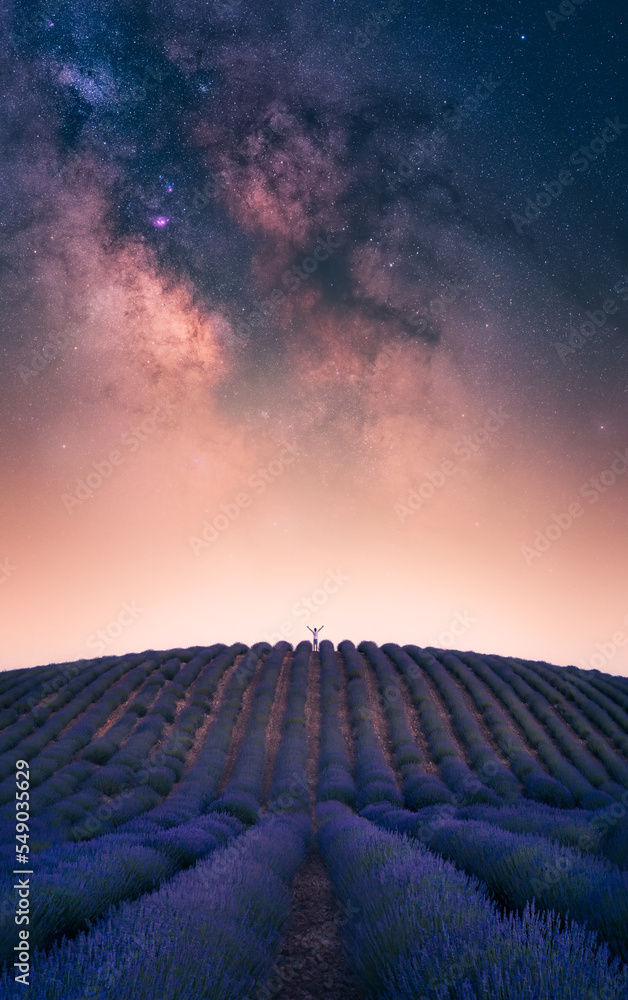 Purple fields of lavender under sky with glowing stars Stock Photo ...