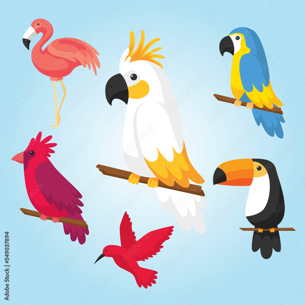 birds on a branch birds on a branch