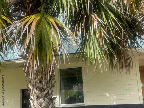 Wallpaper Mural beach hut Torontodigital.ca