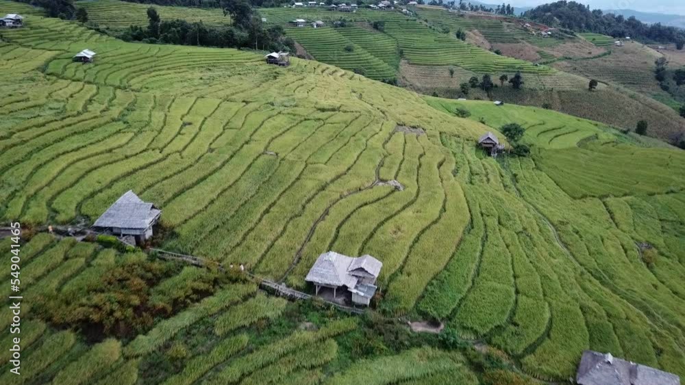 Aerial view of Ban Pa Pong Piang rice terraces in Chiang Mai province of Thailand. The small hamlet of Ban Pa Pong Piang lost in the mountains of the Doi Inthanon National Park. Aerial view of Ban Pa Pong Piang rice terraces in Chiang Mai province of Thailand. The small hamlet of Ban Pa Pong Piang lost in the mountains of the Doi Inthanon National Park.