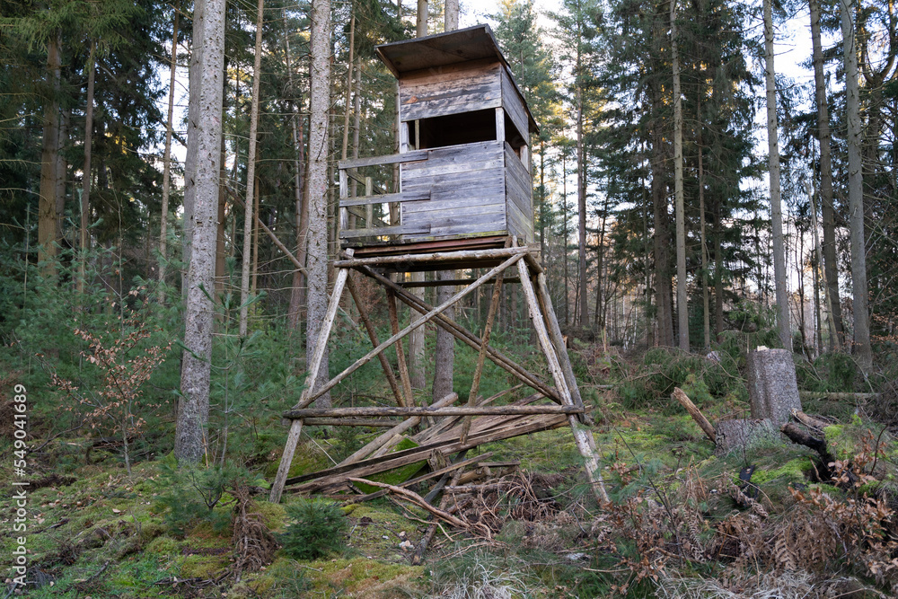 Wooden lookout tower for hunting in the forest Wooden lookout tower for hunting in the forest