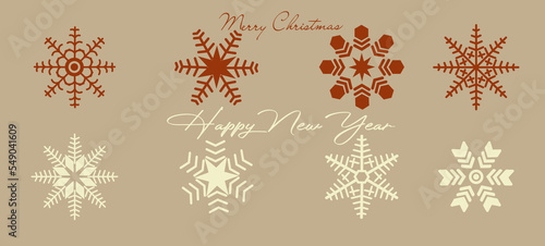 Snowflakes of various shapes set. Winter flat vector decorations elements. Snowflakes vintage vector