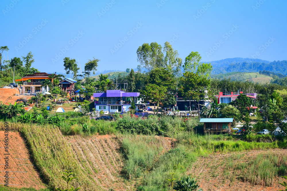 resort resort