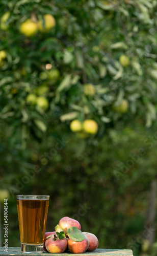 Apple juice in a glass with fresh ripe apples on a wooden table in the garden, around it are apples trees. Tasting fresh juice in the orchard in a summer day outdoors close-up