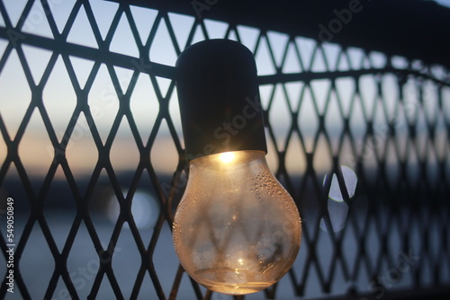  blurred of other bulbs as bokeh background.