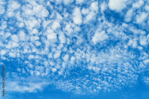 Altocumulus stratiformis perlucidus cloud against the bright blue sky. Nature