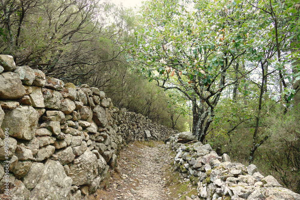 path between ancient walls leading into the woods path between ancient walls leading into the woods