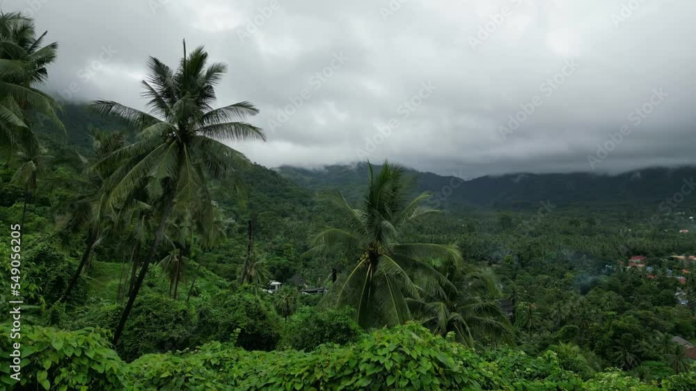 Aerial view flies over palm trees to mountains with thunderclouds, beautiful mystical tropical view of jungle and mountains before thunderstorm during rainy season. Tropical forest Koh Samui, Thailand Aerial view flies over palm trees to mountains with thunderclouds, beautiful mystical tropical view of jungle and mountains before thunderstorm during rainy season. Tropical forest Koh Samui, Thailand