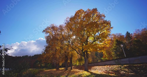 Colorful autumn landscape panorama at Birstonas resort photo