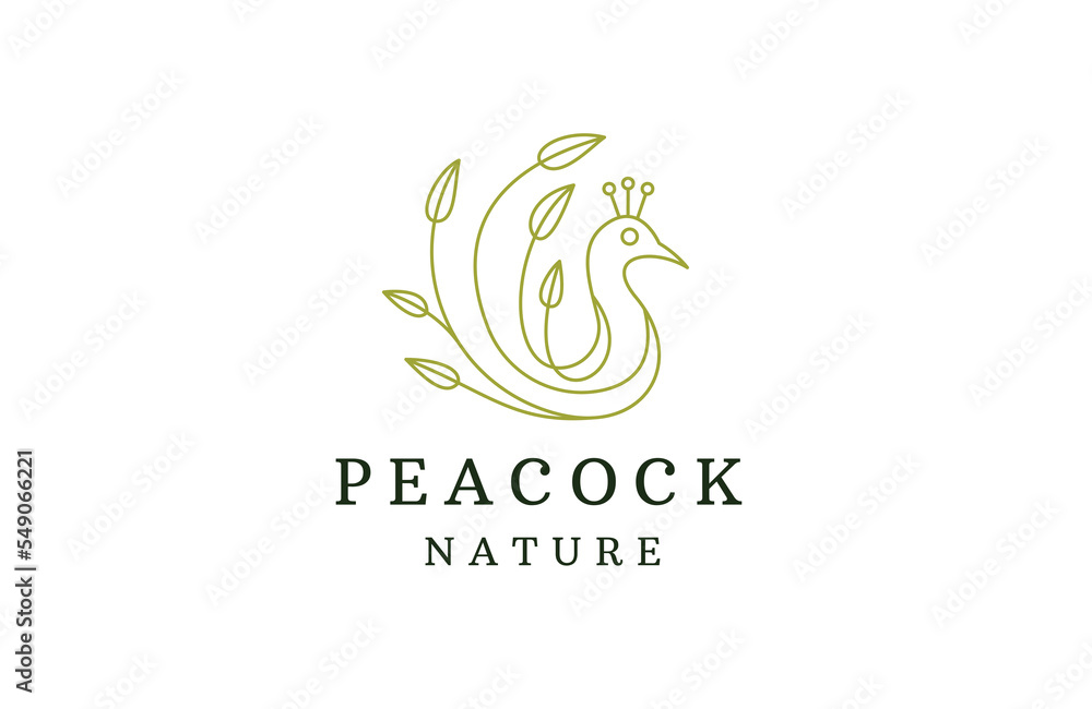 Fototapeta premium Peacock bird with leaf illustration line logo design template