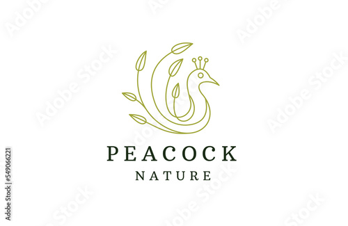 Peacock bird with leaf illustration line logo design template