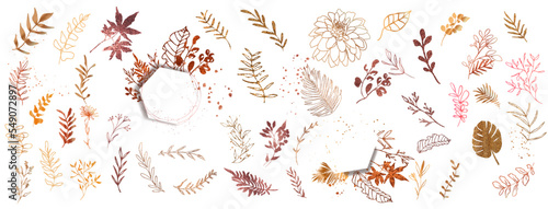 Hand drawn colorful plant set modern and universally usable. Flower branch and minimalistic plants. Hand drawn lines, elegant leaves for your own design. Botanical, chic and trendy plants. 