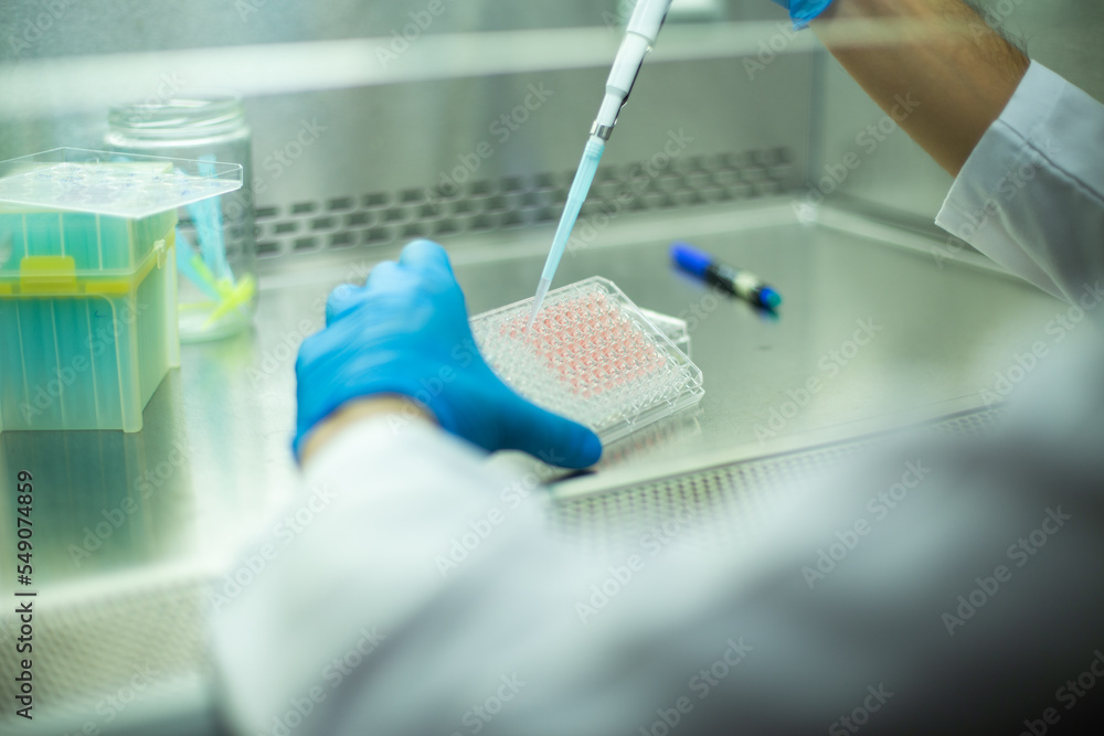 cell culture at the medicine , medical and biology laboratory cell culture at the medicine , medical and biology laboratory