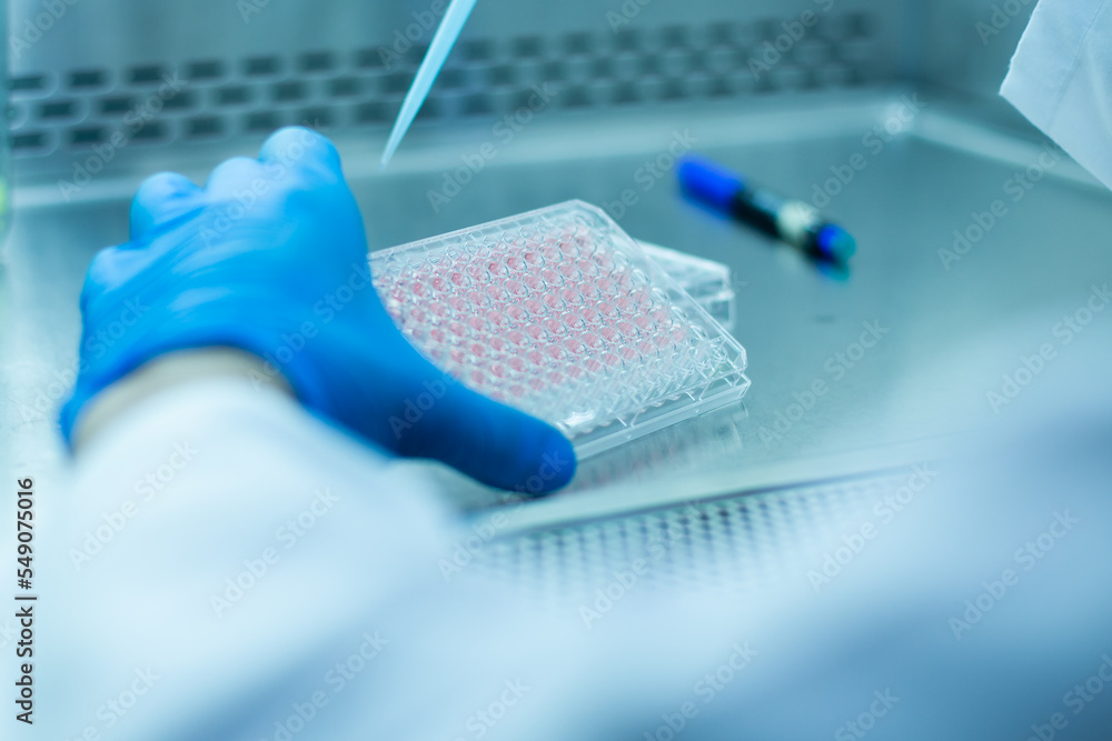cell culture at the medicine , medical and biology laboratory cell culture at the medicine , medical and biology laboratory