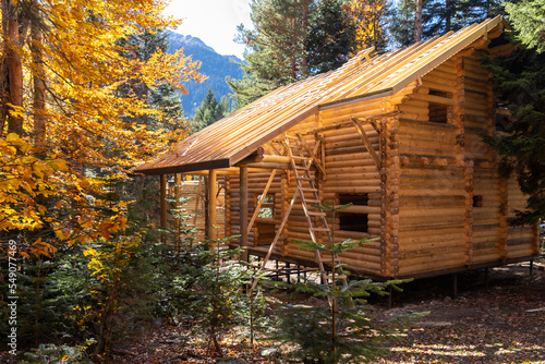 Fototapeta Naklejka Na Ścianę i Meble -  Construction site of wooden mountain house. Traditional log cabin built from wood logs on sunny summer day. Cottage house design. Beautiful log house with porch and driveway in peaceful forest scenery