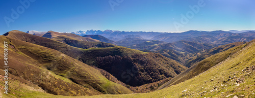 Irati forest in autumn, Salazar valley, Puerto de Larrau next to the French border, Navarra, Spain photo